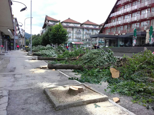 Пљевља: Центар остаје без дрвореда липа